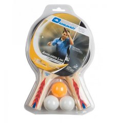 Набор для настольного тенниса Appelgren 300 2-Player Set (2 ракетки Appelgren 300, 3 мяча)