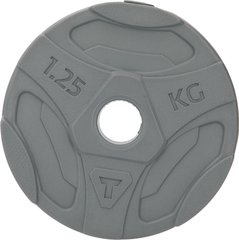 Блин Torneo в пластиковом корпусе 1,25 кг, CKKMHO28C9