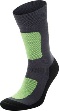Шкарпетки для хлопчиків Glissade, Зелений, 25-27