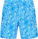 Шорти плавальні чоловічі Speedo Vintage, Блакитний, 46-48