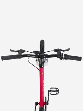 Велосипед для дівчаток Denton Shine 1.0 20" 2024, Рожевий