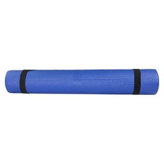 Коврик для фітнеса Stein PVC /блакитний / 183x61x0.4 см