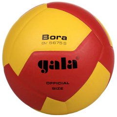 М'яч волейбольний Gala Bora 5 розмір, вага 300 г