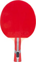 Ракетка для настільного тенісу Torneo Сompetition червоно/чорна