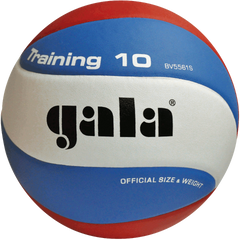 Мяч волейбольный Gala Training BV5561SB