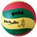 М'яч волейбольний Gala Park Volley 10  розмір 5, вага 280 г