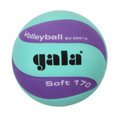 М'яч волейбольний Gala Soft 5 розмір, вага 170 г