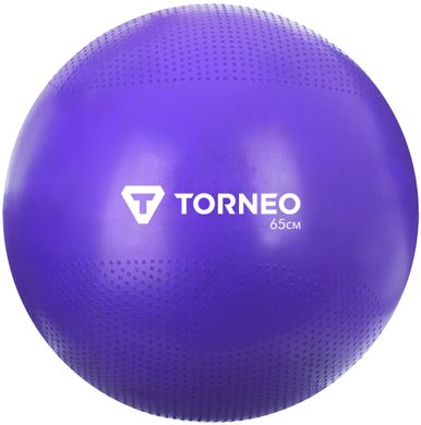 Мяч гимнастический Torneo, 65 см сиреневый (A-209)