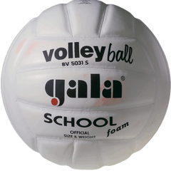 Мяч волейбольный Gala School FBV5031SBE
