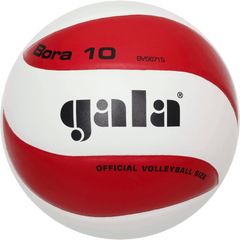 Мяч волейбольный Gala Bora10  BV5671SC